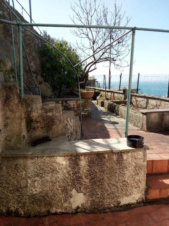 Casa Picasso Génova Exterior foto